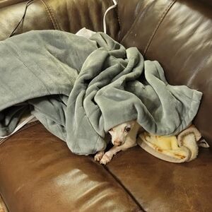 Meet your Posher, Nora